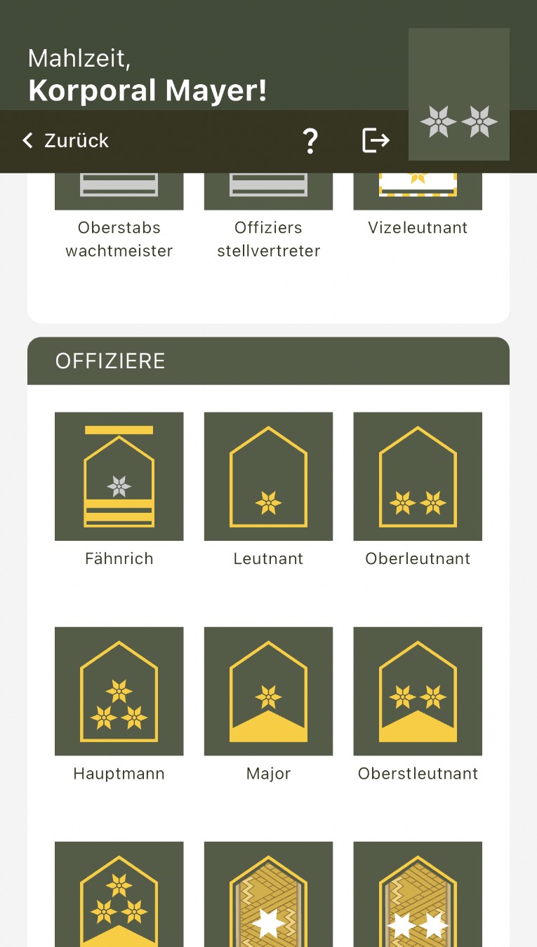 Dienstgrade und Verwendungsabzeichen